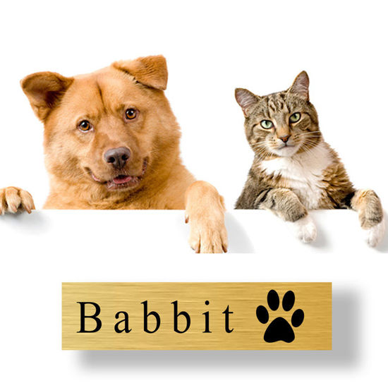 Bild von Schilder für Hunde- und Katzen